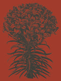 Lilies 9 -  Botanical Series - McGaw Graphics