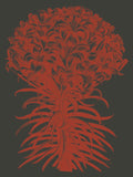 Lilies 10 -  Botanical Series - McGaw Graphics