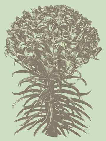 Lilies 11 -  Botanical Series - McGaw Graphics