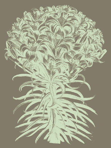 Lilies 12 -  Botanical Series - McGaw Graphics