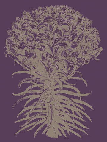 Lilies 13 -  Botanical Series - McGaw Graphics