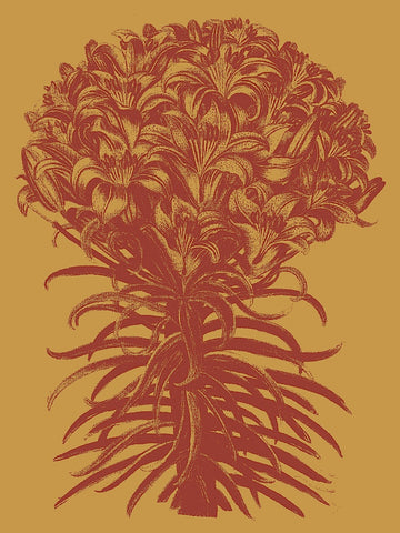 Lilies 15 -  Botanical Series - McGaw Graphics
