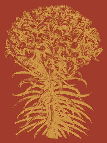 Lilies 16 -  Botanical Series - McGaw Graphics