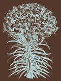 Lilies 17 -  Botanical Series - McGaw Graphics