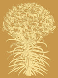 Lilies 20 -  Botanical Series - McGaw Graphics