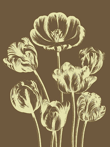 Tulip 4 -  Botanical Series - McGaw Graphics