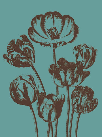 Tulip 5 -  Botanical Series - McGaw Graphics