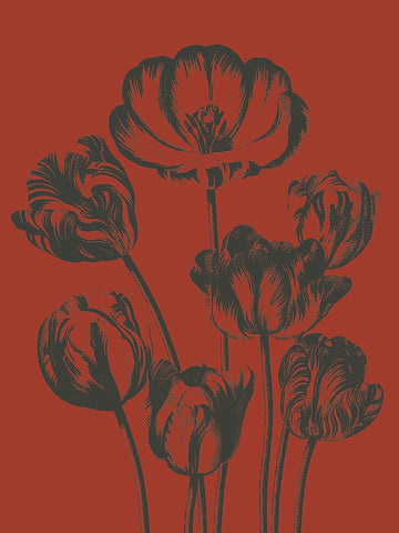 Tulip 9 -  Botanical Series - McGaw Graphics