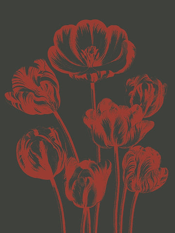 Tulip 10 -  Botanical Series - McGaw Graphics
