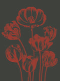 Tulip 10 -  Botanical Series - McGaw Graphics