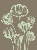 Tulip 12 -  Botanical Series - McGaw Graphics