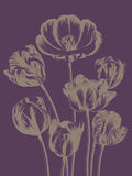 Tulip 13 -  Botanical Series - McGaw Graphics