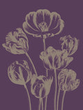 Tulip 13 -  Botanical Series - McGaw Graphics