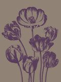 Tulip 14 -  Botanical Series - McGaw Graphics