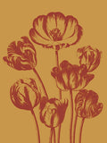 Tulip 15 -  Botanical Series - McGaw Graphics
