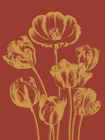 Tulip 16 -  Botanical Series - McGaw Graphics
