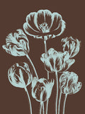 Tulip 17 -  Botanical Series - McGaw Graphics
