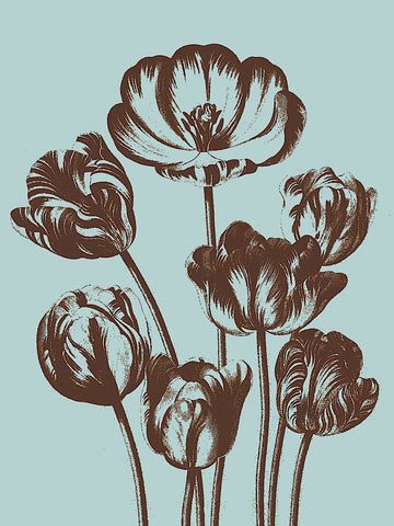Tulip 18 -  Botanical Series - McGaw Graphics