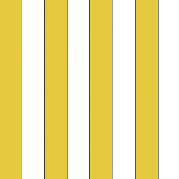 Checkerboard Key (detail) | McGaw Graphics