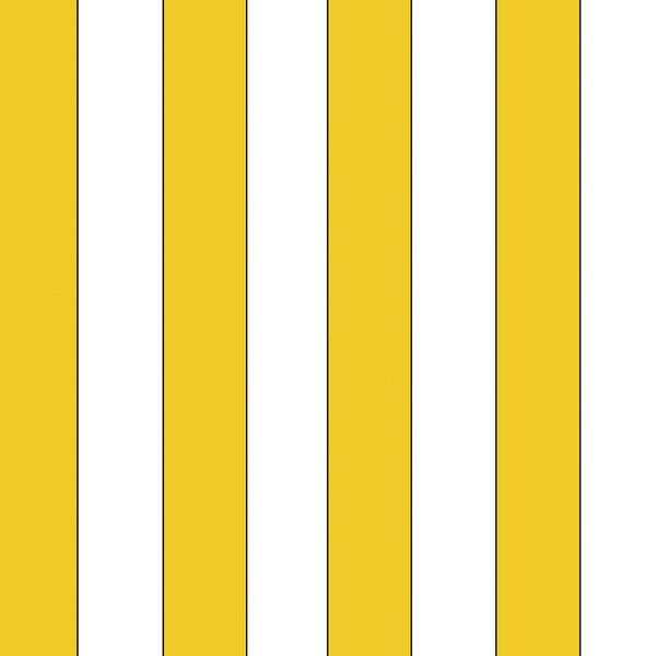 Checkerboard Key (detail) | McGaw Graphics