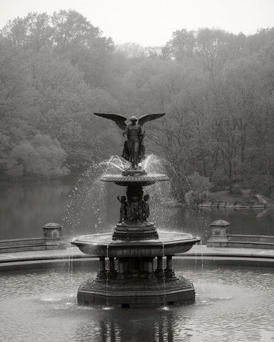 Bethesda Fountain -  Chris Bliss - McGaw Graphics