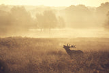 Call -  Mark Bridger - McGaw Graphics