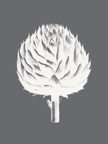 Artichoke (Gray & Ivory) -  Botanical Series - McGaw Graphics