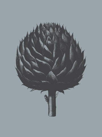 Artichoke (Slate & Ink) -  Botanical Series - McGaw Graphics
