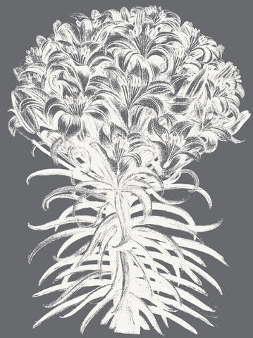 Lilies (Gray & Ivory) -  Botanical Series - McGaw Graphics