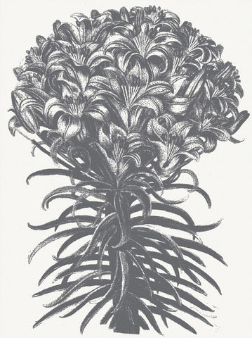 Lilies (Ivory & Gray) -  Botanical Series - McGaw Graphics