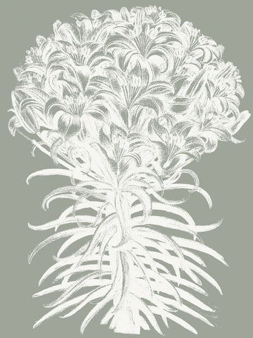 Lilies (Sage & Ivory) -  Botanical Series - McGaw Graphics