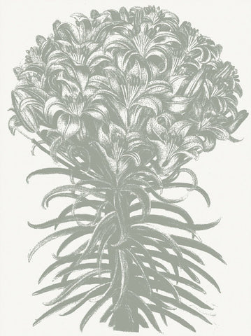 Lilies (Ivory & Sage) -  Botanical Series - McGaw Graphics