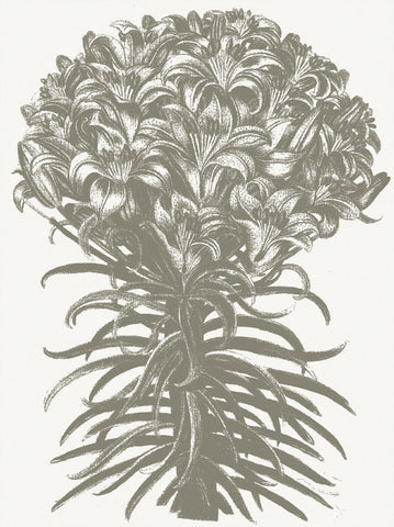 Lilies (Ivory & Burlap) -  Botanical Series - McGaw Graphics