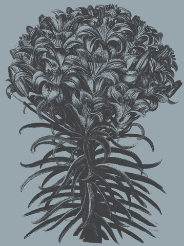 Lilies (Slate & Ink)