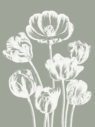 Tulips (Sage & Ivory) -  Botanical Series - McGaw Graphics
