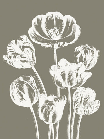 Tulips (Burlap & Ivory) -  Botanical Series - McGaw Graphics