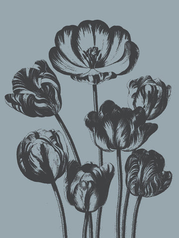 Tulips (Slate & Ink)