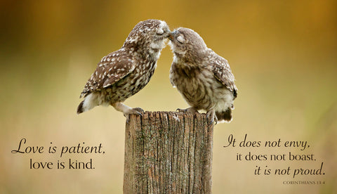 Another Little Peck (Love is patient...) -  Mark Bridger - McGaw Graphics