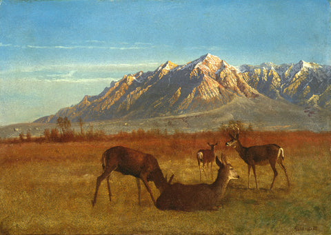 Deer in Mountain Home, 1879 -  Albert Bierstadt - McGaw Graphics