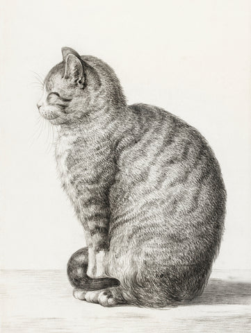 Sitting Cat, 1815 -  Jean Bernard - McGaw Graphics