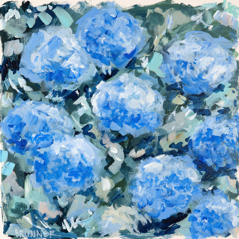 Blue Hydrangeas