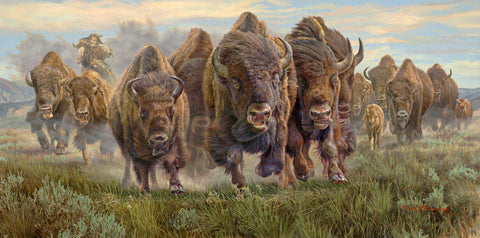 Thunder on the Prairie (Bison)
