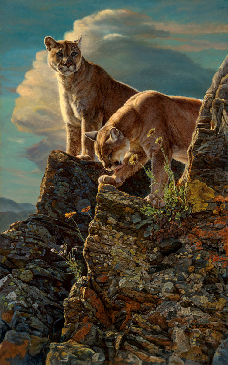 KALON BAUGHAN 絵画 Watchful Sentry (Mountain Lions) | McGaw Graphics