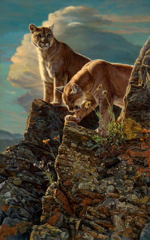 Watchful Sentry (Mountain Lions)