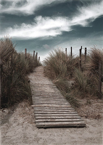 The Pathway -  Gill Copeland - McGaw Graphics