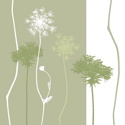 Queen Anne's Lace -  Erin Clark - McGaw Graphics