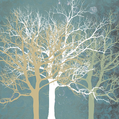 Tranquil Trees -  Erin Clark - McGaw Graphics