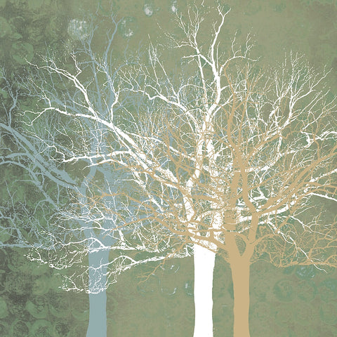 Quiet Forest -  Erin Clark - McGaw Graphics