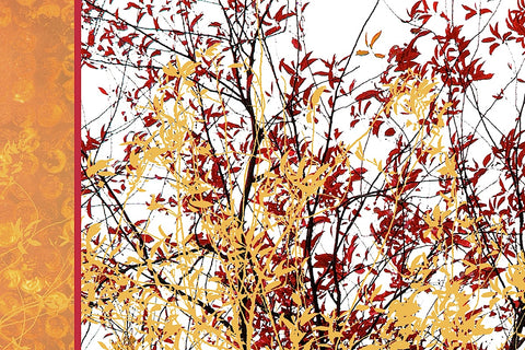 Painted Branches -  Erin Clark - McGaw Graphics