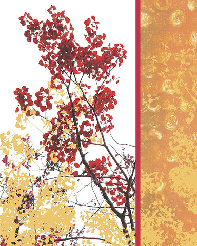 Autumn Fresco -  Erin Clark - McGaw Graphics